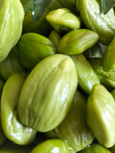 Semillas Frescas de Petai Parkia Speciosa de Indonesia, 100% Calidad Garantizada, Semillas Crudas Frescas, Aroma Natural, Sabor Intenso, Calidad de Exportación - Product Image 4