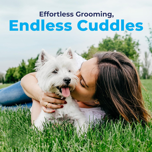 Lingettes portables <span class=keywords><strong>pour</strong></span> animaux de compagnie, texture douce, serviettes jetables, fournitures de nettoyage universelles <span class=keywords><strong>pour</strong></span> essuyer la surface du corps des chiots et des chatons - Product Image 4