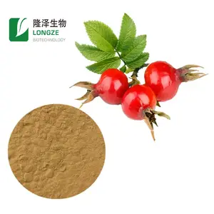 गुलाब हिप पाउडर/Rosehip निकालने पाउडर/गुलाब हिप निकालने पाउडर