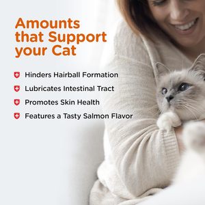 Vet Formula Psyllium Pumpkin Chews – Complément anti-boules <span class=keywords><strong>de</strong></span> poils pour chats, absorption rapide, sûr pour la santé digestive, traitement léchable des boules <span class=keywords><strong>de</strong></span> poils - Product Image 2