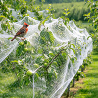 Filet anti-vent sur mesure pour la protection contre la grêle des vignobles, vergers, arbustes à baies, étangs à poissons et cerisiers