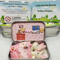 Nuevo conejo de peluche transfronterizo con bolsillo, caja de hierro, regalo de Pascua, juguete de peluche para niños, regalo para fiestas, venta al por mayor, regalo de mano, juguete de peluche de conejo