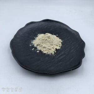 Suministro de Aditivos para Alimentos a Base de Bacillus Coagulans, Probióticos Liofilizados en Polvo, Bacillus Coagulans - Product Image 3