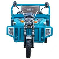 Tricycle électrique robuste 60 V 1 000 W, boîte en acier à benne basculante, convertible, pour l'agriculture