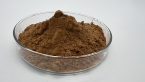 유기농 레이시 버섯 추출물 베타 글루칸 40% 벌크 파우더 - Product Image 4