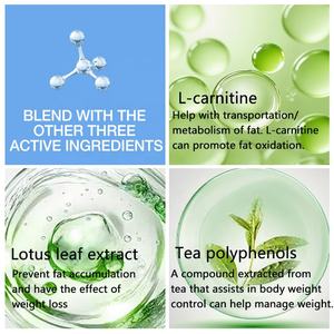 Comprimés de perte de poids de carnitine de baleine animée, usine de source, OEMODM, personnalisation d'étiquettes, amincissant pour adultes - Product Image 5