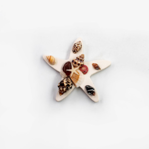 Magnete per Frigorifero Benji Fatto a Mano in Resina con Conchiglia Marina Vera, Souvenir da Spiaggia, Decorazione Costiera per Casa, Accessorio da Cucina, Regalo - Product Image 5