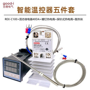 Kit thermostat REX-C100FK02-V*DN avec 5 câbles de 2 mètres, sonde de 10 cm, entrée et sortie (IO) - Product Image 3