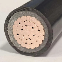 2kV 1X350MCM CU/XLPE/TTU Cable de alimentación de cobre de núcleo único ignífugo