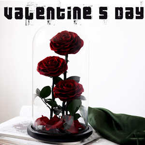 Vente en gros <span class=keywords><strong>La</strong></span> <span class=keywords><strong>Belle</strong></span> <span class=keywords><strong>et</strong></span> <span class=keywords><strong>la</strong></span> Bête Roses éternelles <span class=keywords><strong>Prince</strong></span> 15*30 Rose conservée dans une boîte cadeau en verre pour petite amie - Product Image 1