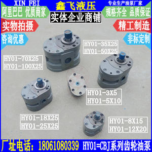 Bombas Hidráulicas de Engranajes para Aceite Lubricante HY01-3X5/HY01-5X10/CBJ-3*5/CBJ-5*10 para Rectificadoras de Superficie - Product Image 1