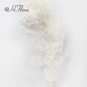 Hflora offre en gros un grade fleur préservée Real Touch fleur préservée Ming fougère asperges pour la décoration de mariage personnalisée - Product Image 4