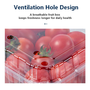 Wholesale Cheap Price High Quality Eco-Friendly PET Clear Food Grade Supermarket Clamshell <strong>Fruit</strong> Box Packaging 125G 250G - Product Image 4