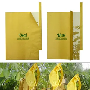 Manufacturer Low Price Disposable Taiwan Fruit Mango Loquat Protection Cover Brown Kraft Paper Bag With Window