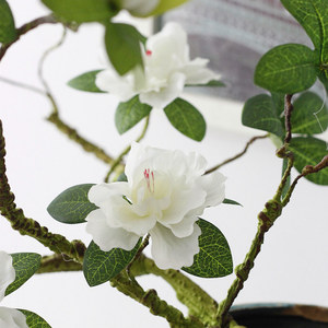 O-X537มาใหม่คลาสสิกจำลองสาขาตาย <span class=keywords><strong>Azalea</strong></span> ดอกไม้การถ่ายภาพที่บ้านอุปกรณ์ประกอบฉากตกแต่งดอกไม้สำหรับงานแต่งงาน - Product Image 6