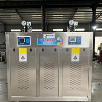 Palerton 48kw 60kw générateur de vapeur électrique industriel chaudière à vapeur verticale Portable pasteurisation champignons élégant efficace