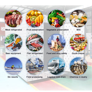 Salles de refroidissement transportables pour les denrées périssables provisoires, entreposage au froid mobile avec la capacité de refroidissement rapide - Product Image 5