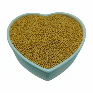 เมล็ดมัสตาร์ดสีเหลืองแท้เหมาะสำหรับผักดองและแกงกะหรี่ - Product Image 1