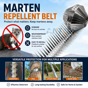 NOUVEAU Ceinture anti-<span class=keywords><strong>blaireau</strong></span>, <span class=keywords><strong>renard</strong></span>, écureuil, raton laveur, martre, pointes de dissuasion en acier inoxydable pour tuyau de descente - Product Image 1