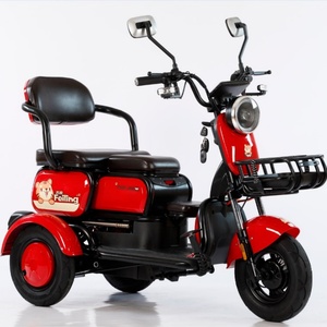 Tricycle Electric Bike with <b>Passenger</b> Electric Scooter 800 W Power - Product Image 5