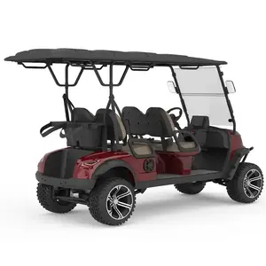 Luxe Off-Road 2 Passager Jeep Golfkart Met 48V 5kw Lithium Batterij Aangedreven Omgevingslicht Golfkarretjes