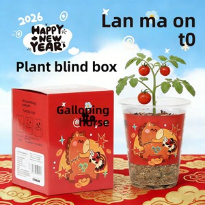 Nouvelle Boîte Mystère de Plantes du Nouvel An : Petites Plantes en Pot à Cultiver – Cadeau pour Élèves de Maternelle et d'École Primaire – Mini Plantes de Bureau pour le Festival du Printemps - Product Image 4