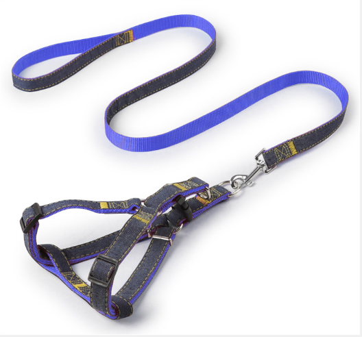 บลูลีชและสายรัดอก