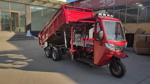 Tricycle motorisé à essence ouvert avec toit, <span class=keywords><strong>350</strong></span> cm³, 9 roues, double pont, double propulsion, pour grossistes - Product Image 3