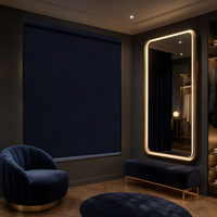 Stores à enroulement contemporains multicolores en tissu, à assistance par ressort, sans fil, filtrant la lumière du jour, faciles à installer pour chambre d'amis