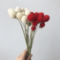 Grosir Bunga Buah Stroberi Kering Awet Bunga untuk Dekorasi Rumah/Pernikahan Bunga