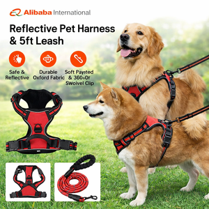 Pettorina Riflettente Anti-Trazione per Cani, Regolabile in Nylon, Gilet Traspirante in Rete per Passeggiate e Addestramento all'Aperto con Guinzaglio - Product Image 1