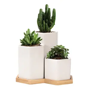 Dropshipping 2.7Inch Keramische Succulente Planter Met Vierkante Ontwerp Succulent Potten Met Bamboe Lade Kleine Cactus Plant Pot