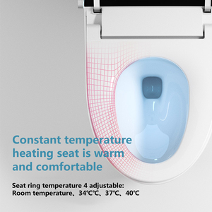 Nhà vệ sinh tích hợp tự động nhà vệ sinh gia đình hiện đại nhà vệ sinh thông minh - Product Image 5