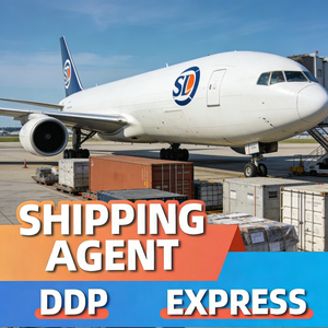 Agente di Spedizione Express FDA Amazon Magazzino LA dalla Cina all'India Origine India Dfh Eva Global Logistics American Express - Product Image 6