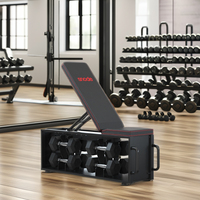 Banc de musculation réglable en acier allié Snode, robuste, pliable, capacité de 300 kg, utilisation en intérieur, comprend 6 paires