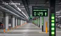 Capteur de parking de voiture de véhicule sans fil intelligent IoT Capteur d'occupation Détection d'espace de stationnement pour système de stationnement