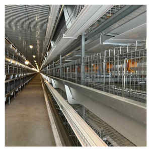 Tam otomatik galvanizli horoz kafesi tavuk çiftliği ekipmanları besleme sistemi hayvancılık tavuk kafesi tel makinesi Broiler yatıyordu - Product Image 2