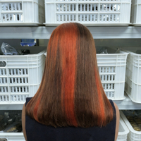 Prix Bas 4/350 #   Perruques Courtes Droites Bob Couleur Naturelle Cheveux Humains Sans Colle Perruques Lace Frontales Cheveux Bruts Perruques Lace Frontales HD