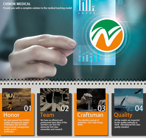 Инструмент для демонстрации болезней и обучения - Product Image 6