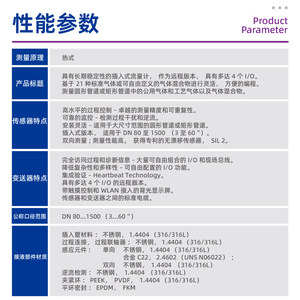 Medidor de Flujo Másico de Gas Térmico E+H Endress Hauser Tipo Dividido con Cable de 20m, Pantalla y Teclas, China - Product Image 2