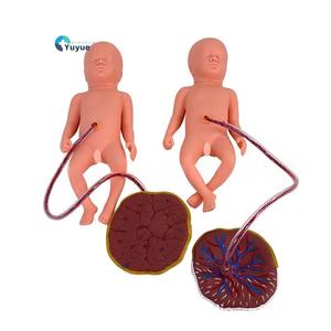 Model perawatan bayi baru lahir dengan Placenta PVC manekin untuk kabel pusar dan pelatihan plasenta alat sains medis untuk sekolah - Product Image 1