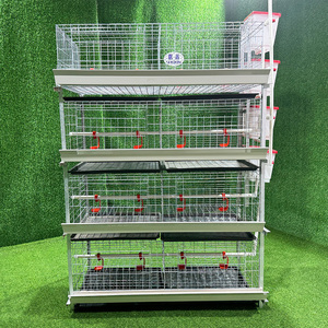 H Type 3/4 Tiers 60/80 oiseaux Capacité Système d'abreuvement et d'alimentation Batterie galvanisée à chaud <span class=keywords><strong>Chair</strong></span> Poulet Poulet <span class=keywords><strong>de</strong></span> <span class=keywords><strong>chair</strong></span> Cage pour poulet <span class=keywords><strong>de</strong></span> <span class=keywords><strong>chair</strong></span> - Product Image 2