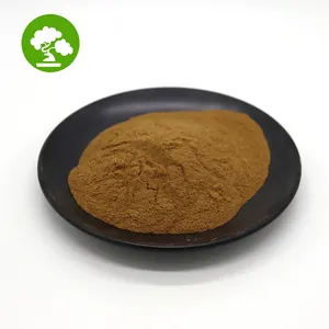 Arnica Factory Supply Wholesale Bulk Arnica Extract Powder