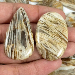Lote al por mayor de cabujones de ágata con fósil de pluma natural para la fabricación de joyas - Product Image 1