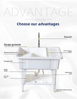 Bac de lavage autoportant intégré en plastique PP pour jardin, évier portable d'extérieur pour buanderie, salle de bain, ferme et cuisine