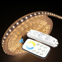 Contrôleur LED CCT sans fil RF 3-en-1 T5 avec télécommande + récepteur R3 DC12-24V CW-NW-WW, variateur de lumière blanc réglable 216W 4096 niveaux sans scintillement