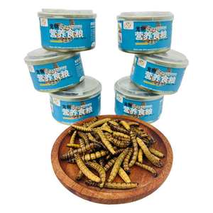 Vers de farine frais de marque <span class=keywords><strong>WTX</strong></span>, 35g, qualité supérieure, riche en protéines, pour l'alimentation des reptiles, des oiseaux et des poissons - Product Image 2