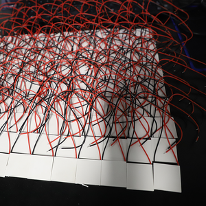 Industrieller thermo elektrischer Kühler | -100 ° C Ultra-Kühl platte für die Kühlung von Laserdioden/medizinischen Instrumenten/PCR-Maschinen - Product Image 6