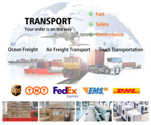 1年間保証付き人工気候インキュベーター（サイドライト付き、実験室用） - Product Image 3