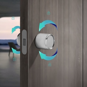 Manija de Puerta Magnética Minimalista de Aleación de Zinc para Dormitorio, Manija de Puerta Elegante - Product Image 4
